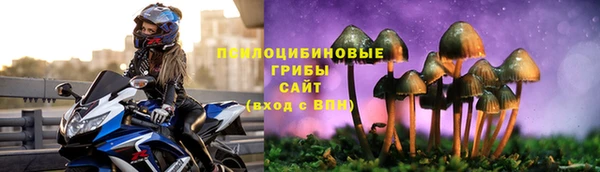 марки lsd Горно-Алтайск