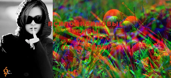 марки lsd Горно-Алтайск